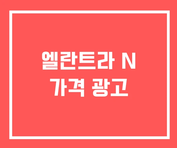 엘란트라 N 가격 광고