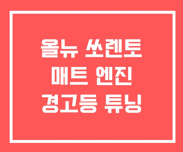 올뉴 쏘렌토 매트 엔진 경고등 튜닝