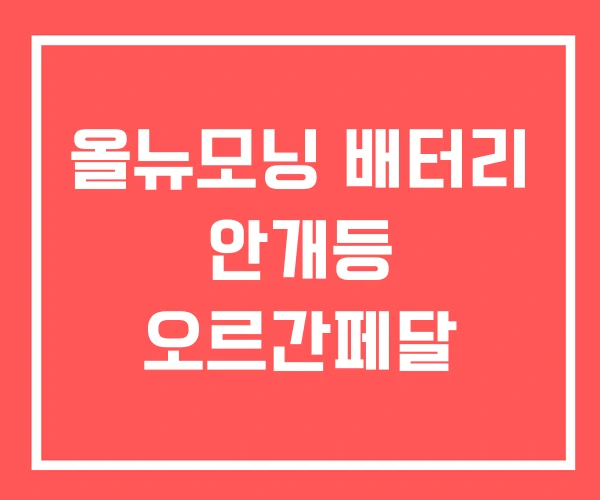 올뉴모닝 배터리 안개등 오르간페달