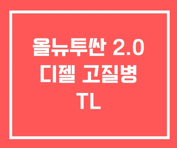 올뉴투싼 2.0 디젤 고질병 TL