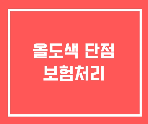 올도색 단점 보험처리 올도색 단점 보험처리