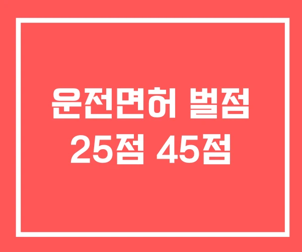 운전면허 벌점 25점 45점
