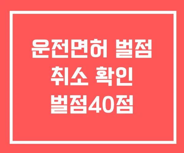 운전면허 벌점 취소 확인 벌점40점