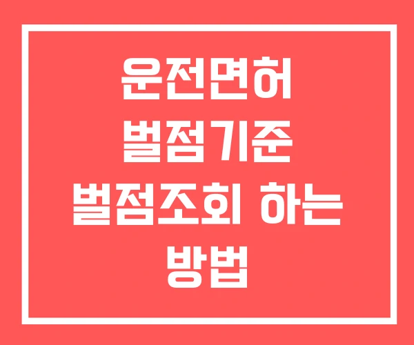 운전면허 벌점기준 벌점조회 하는 방법