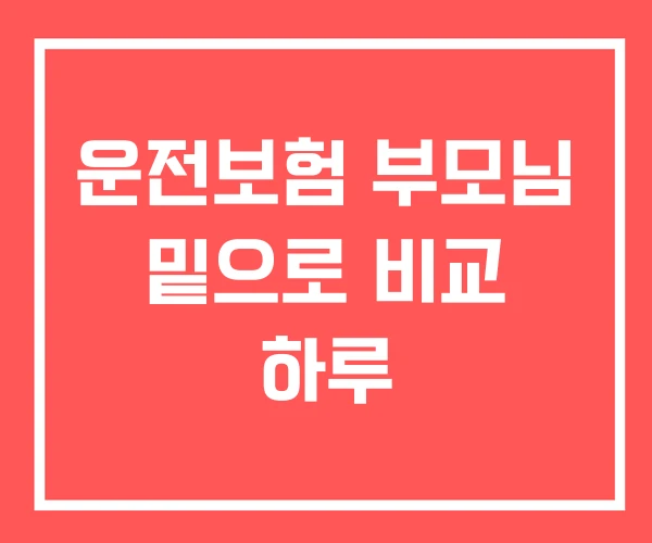 운전보험 부모님 밑으로 비교 하루