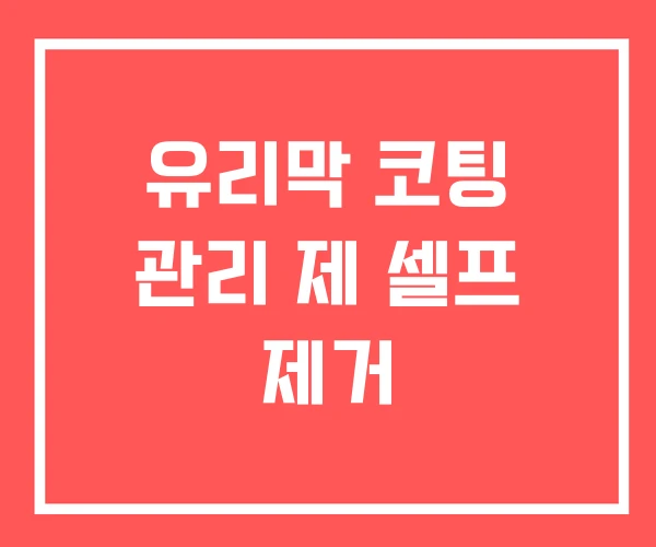 유리막 코팅 관리 제 셀프 제거 유리막 코팅 관리 제 셀프 제거