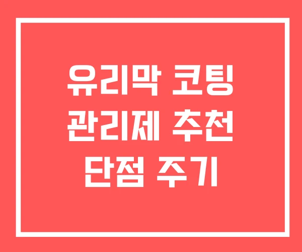 유리막 코팅 관리제 추천 단점 주기
