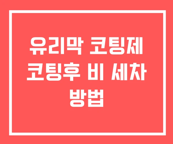 유리막 코팅제 코팅후 비 세차 방법