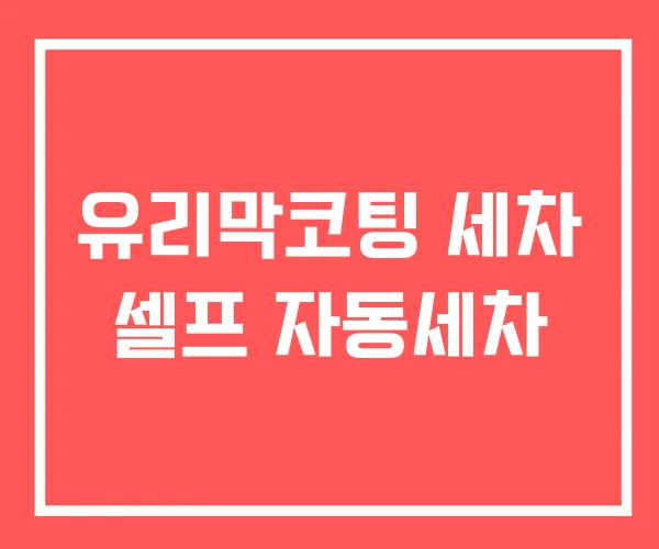 유리막코팅 세차 셀프 자동세차