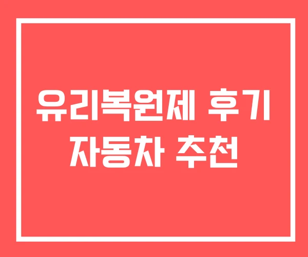 유리복원제 후기 자동차 추천 유리복원제 후기 자동차 추천