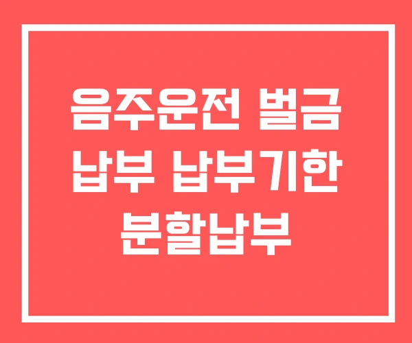 음주운전 벌금 납부 납부기한 분할납부