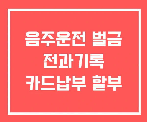 음주운전 벌금 전과기록 카드납부 할부 음주운전 벌금 전과기록 카드납부 할부