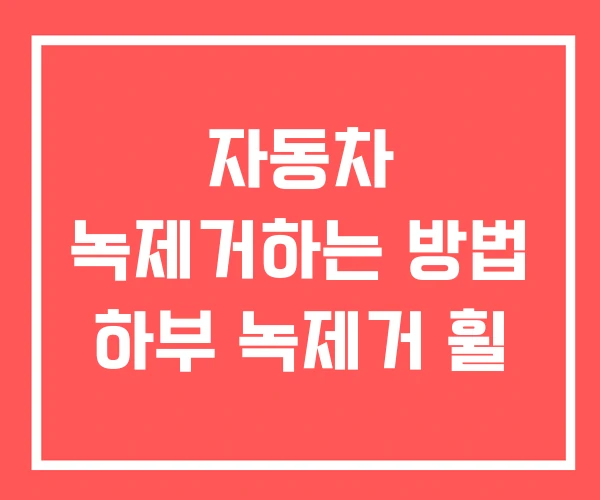 자동차 녹제거하는 방법 하부 녹제거 휠 자동차 녹제거하는 방법 하부 녹제거 휠