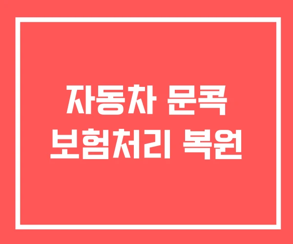자동차 문콕 보험처리 복원 자동차 문콕 보험처리 복원