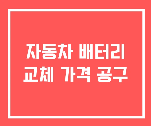 자동차 배터리 교체 가격 공구 자동차 배터리 교체 가격 공구