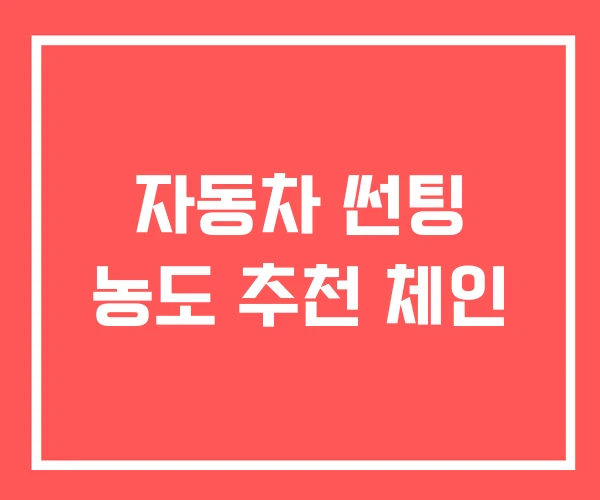 자동차 썬팅 농도 추천 체인 자동차 썬팅 농도 추천 체인