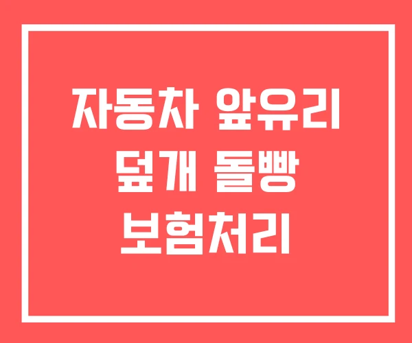 자동차 앞유리 덮개 돌빵 보험처리