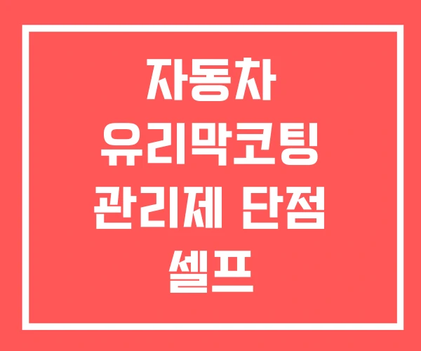 자동차 유리막코팅 관리제 단점 셀프