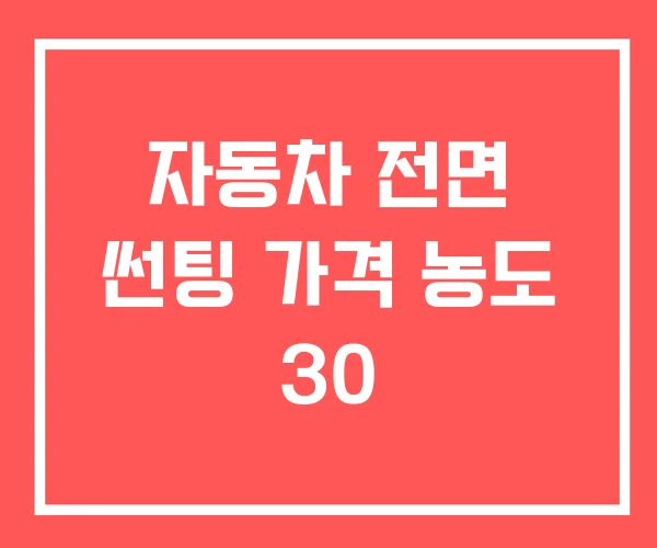 자동차 전면 썬팅 가격 농도 30
