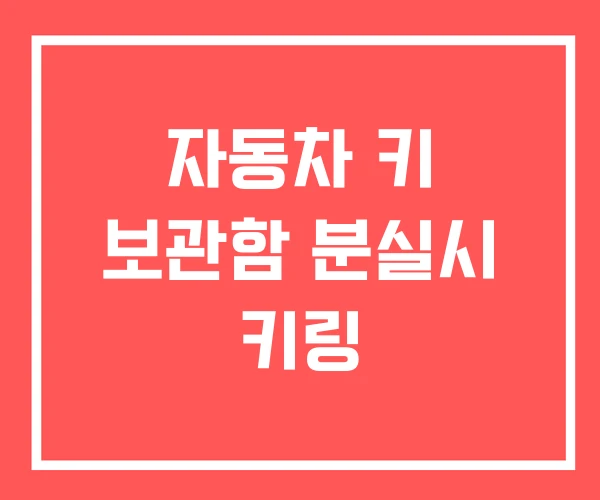 자동차 키 보관함 분실시 키링