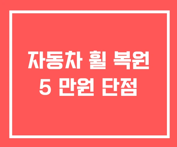 자동차 휠 복원 5 만원 단점