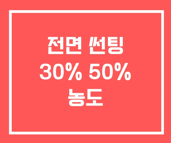 전면 썬팅 30% 50% 농도