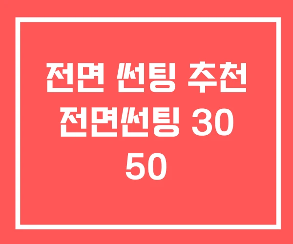 전면 썬팅 추천 전면썬팅 30 50