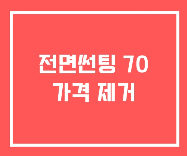 전면썬팅 70 가격 제거