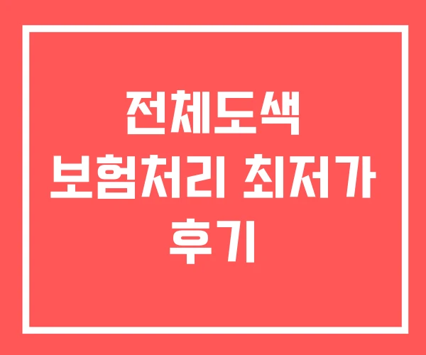 전체도색 보험처리 최저가 후기