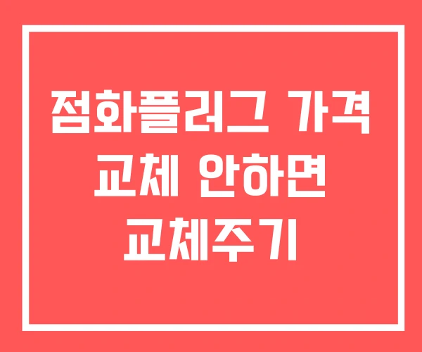 점화플러그 가격 교체 안하면 교체주기