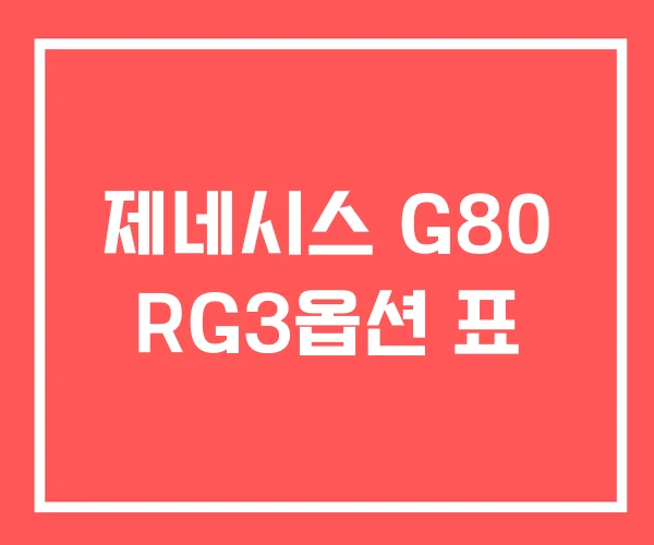 제네시스 G80 RG3옵션 표