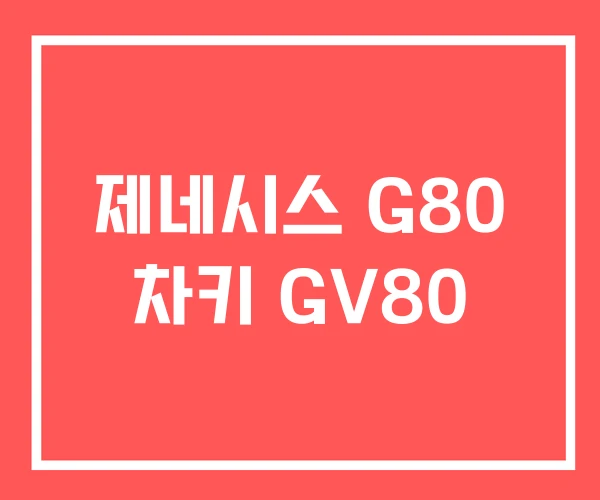제네시스 G80 차키 GV80