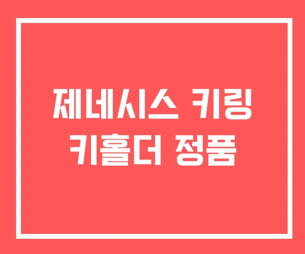 제네시스 키링 키홀더 정품