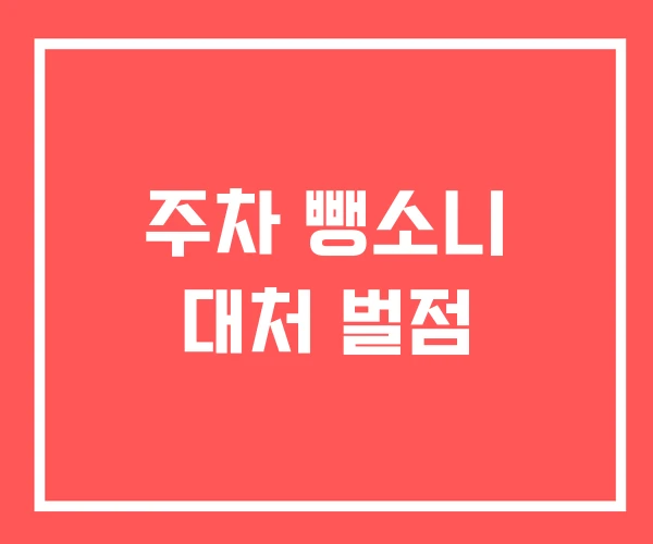 주차 뺑소니 대처 벌점