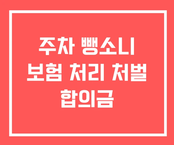 주차 뺑소니 보험 처리 처벌 합의금