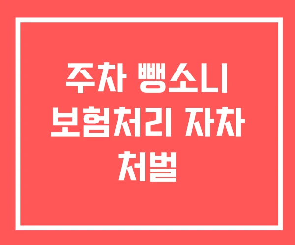 주차 뺑소니 보험처리 자차 처벌