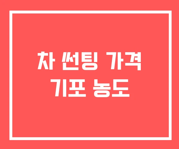 차 썬팅 가격 기포 농도