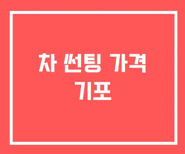 차 썬팅 가격 기포