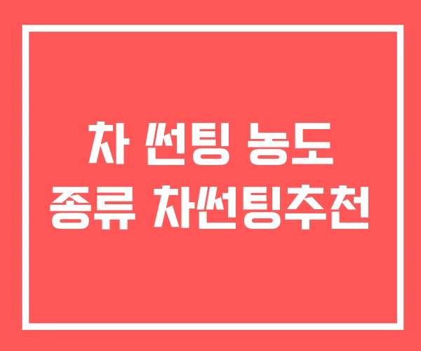 차 썬팅 농도 종류 차썬팅추천