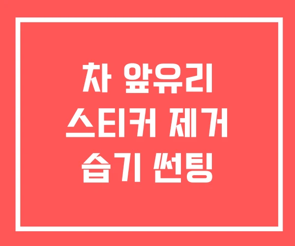 차 앞유리 스티커 제거 습기 썬팅