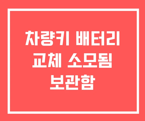 차량키 배터리 교체 소모됨 보관함