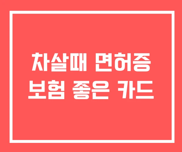 차살때 면허증 보험 좋은 카드