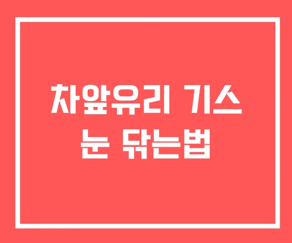 차앞유리 기스 눈 닦는법