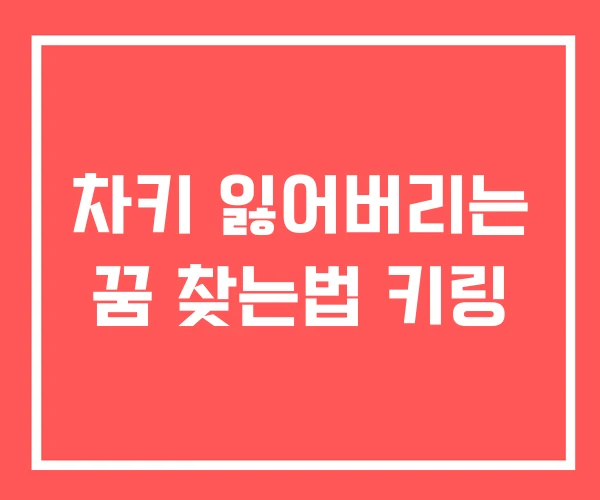 차키 잃어버리는 꿈 찾는법 키링