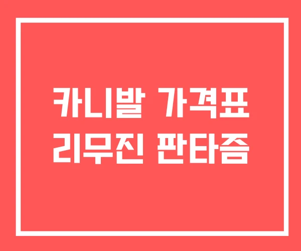 카니발 가격표 리무진 판타즘