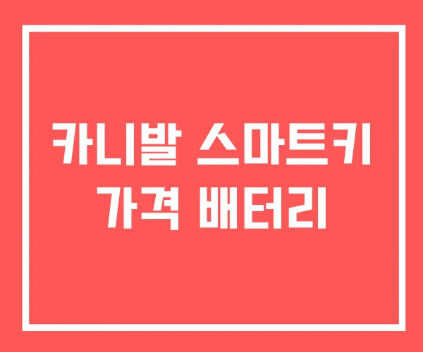 카니발 스마트키 가격 배터리