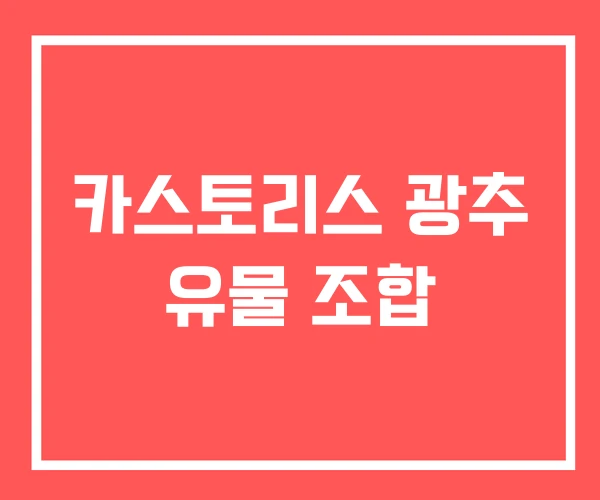 카스토리스 광추 유물 조합
