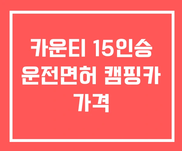 카운티 15인승 운전면허 캠핑카 가격