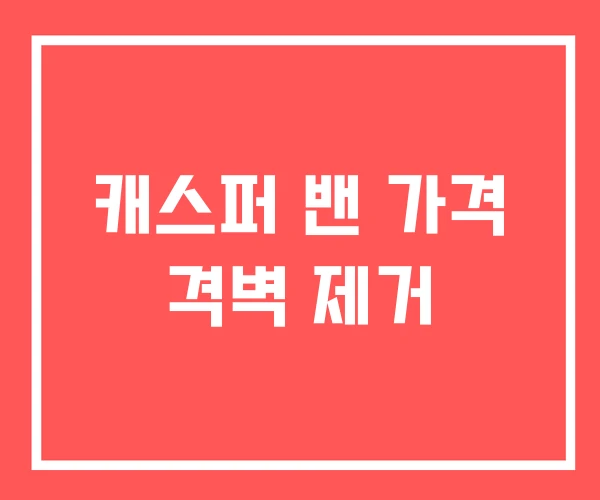 캐스퍼 밴 가격 격벽 제거