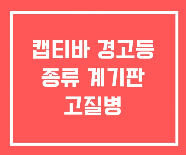 캡티바 경고등 종류 계기판 고질병
